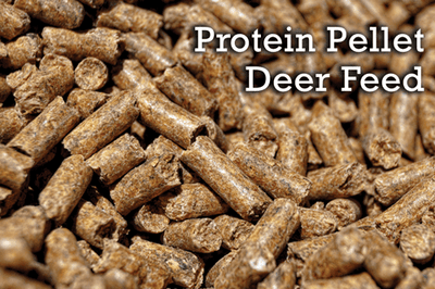 Deer Feed Tips