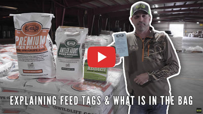 Explaining Feed Tags & What Is In The Bag