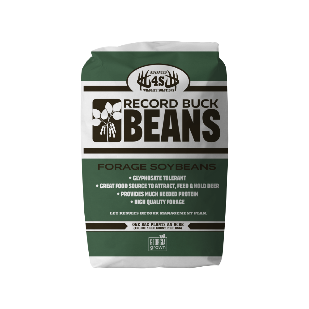 How Many Beans Make Five レコード 36f1e-how-many-beans-make-