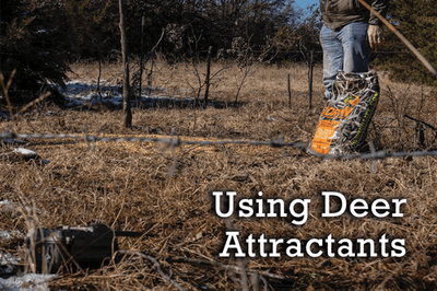 Using Deer Attractants
