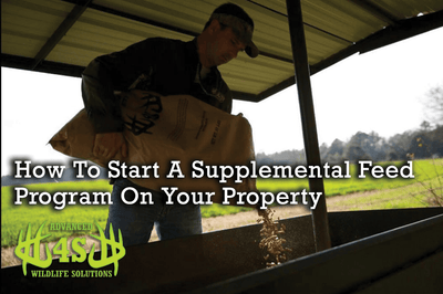 How to Start A Supplemental Feed Program