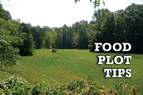 Food Plot Tips – 4S Advanced Wildlife Solutions