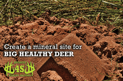 How to create a mineral site for deer