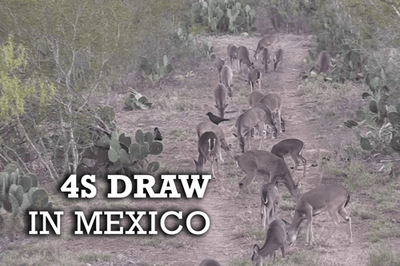 4S Draw In Mexico