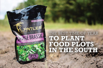 Best Time To Plant Food Plots In The South