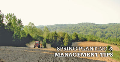 Spring Food Plot Planting and Management Information
