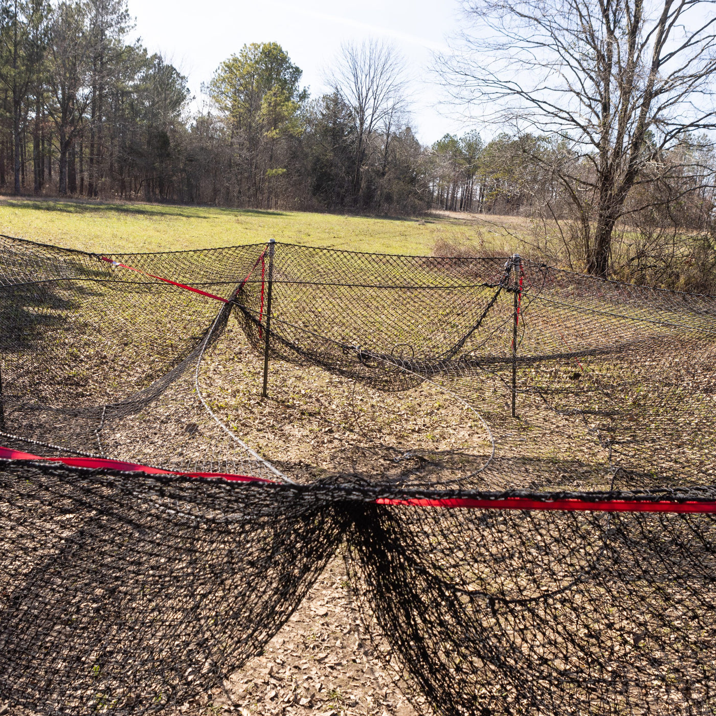 Boar Blanket Hog Trap