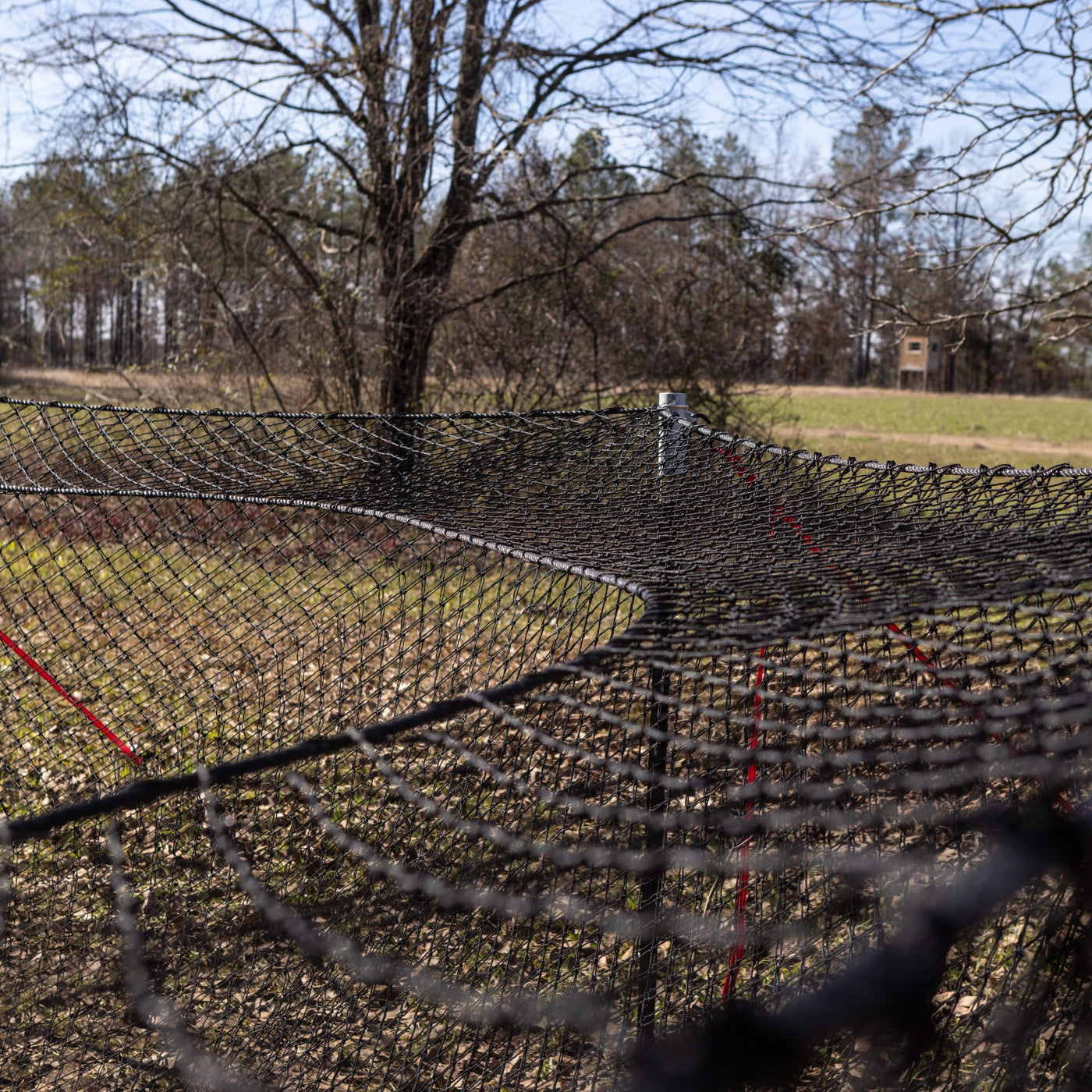 Boar Blanket Hog Trap
