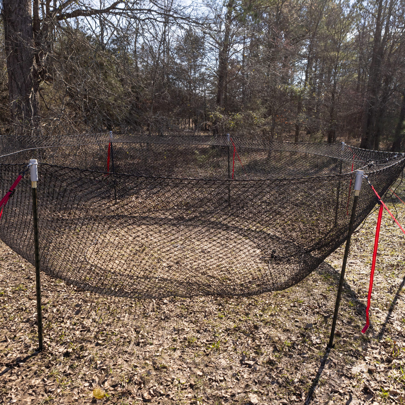 Boar Blanket Hog Trap