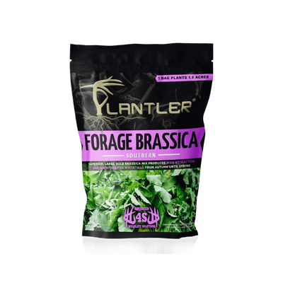 Plantler Forage Brassica - 4S Advanced Wildlife Solutions